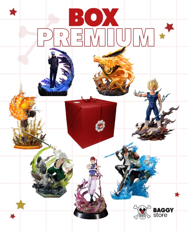 Mystery Box PREMIUM