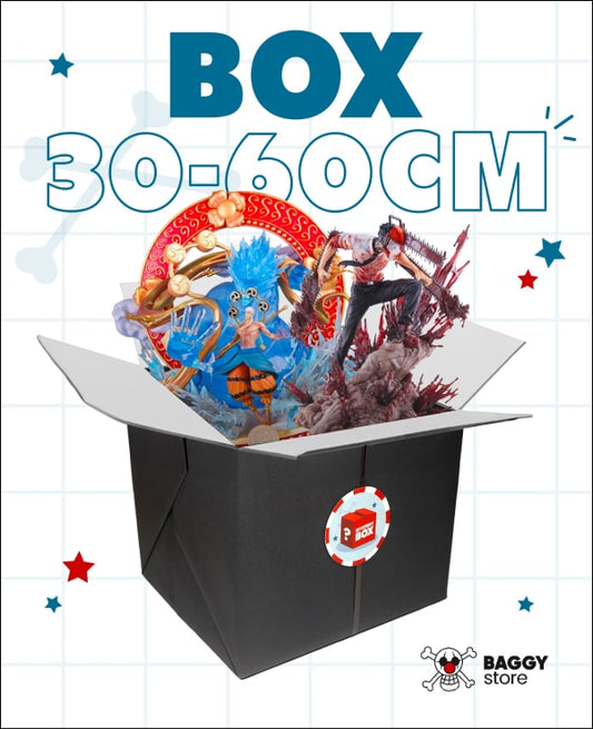 Mystery Box 30-60 cm